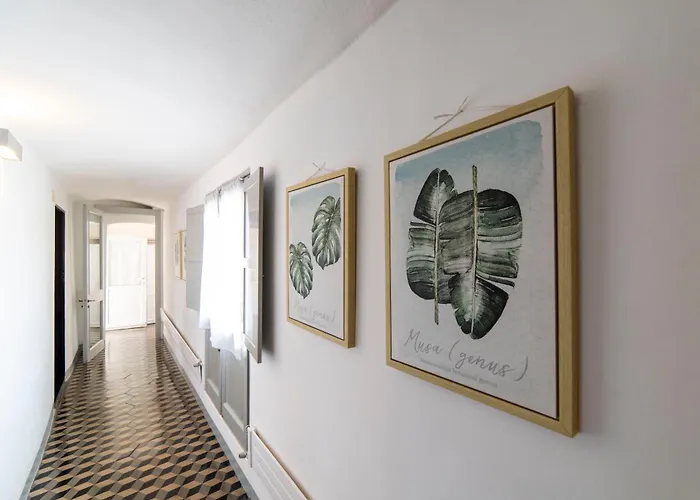 Ca Di Ni * פינאלה ליגורה